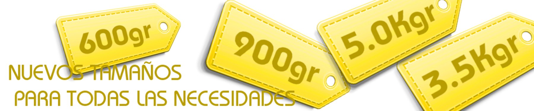 Demo Directa